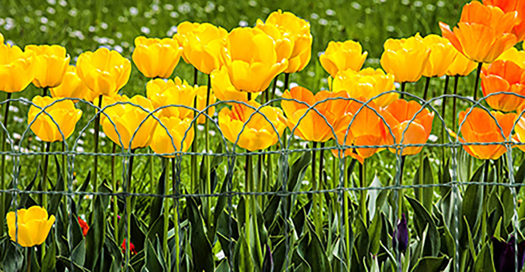 Flowers in a flower box fenced with the Floritor® mesh