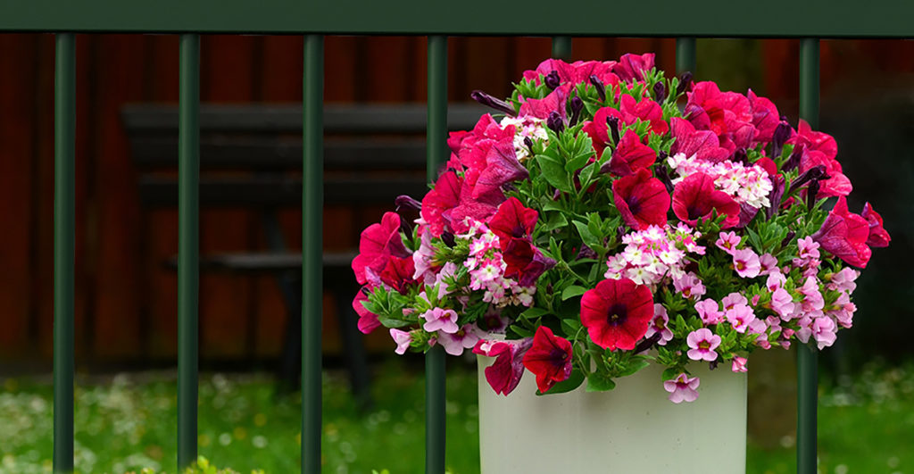 Flower arrangement with the Tubes Plus railing in the background
