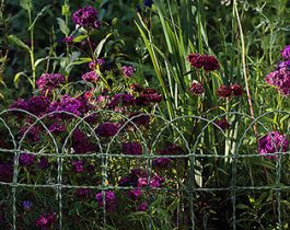 Jardinera con flores y una malla trenzada Floritor