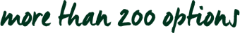 more-than-200-options More than 200 options of colours
