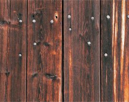 Puntas de clavos en madera oscura