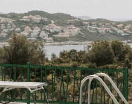 Verja exotic sin puntas en una piscina con vistas a una bahía